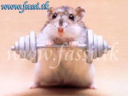 voila je me trainait